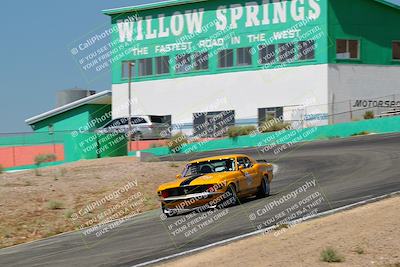 media/May-07-2022-Cobra Owners Club of America (Sat) [[e681d2ddb7]]/White/Session 1 (Turn 4)/